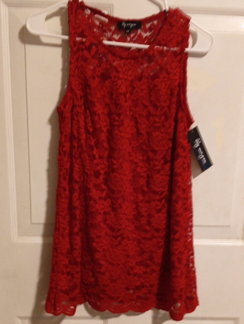 Red Lace Sleeveless Blouse